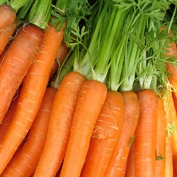 Carrot Butter