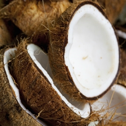 Coconut Aroma / Scent - Oil Based