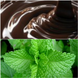 Chocolate Mint Aroma / Scent - Oil Based