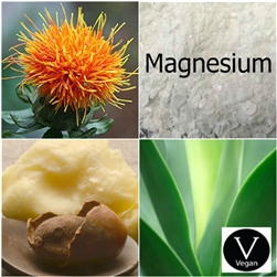 Magnesium Lotion Base