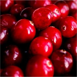 Cranberry Aroma / Scent - Oil Based