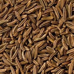 Caraway Seed Essential Oil0.5 oz