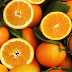 Orange Aroma / Scent - Oil Based