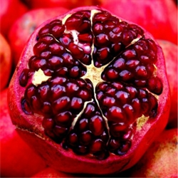Pomegranate Aroma / Scent - Oil Based