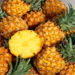 Pineapple Aroma / Scent - Oil Based