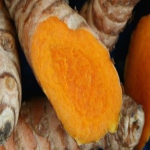 Tumeric Marrow Tumeric Extract - Water Based